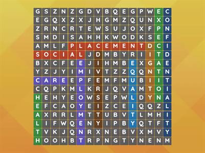 Work placement wordsearch HSC