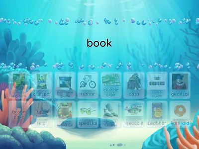  wk 11 - Rudaí a cheannach hw