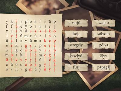 Szókereső - madarak (ly - j)