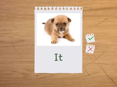 Flashcards p.24 pronouns