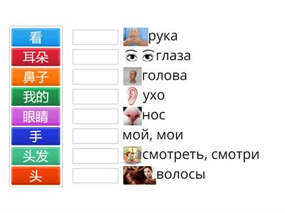 Царство китайского языка 1А, урок 5