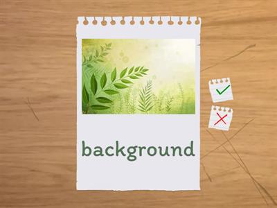 DL Level 2 Bonus Powerpoint Vocabulary Flashcards