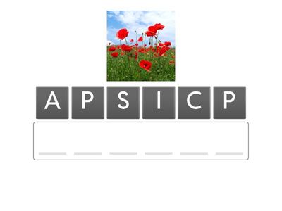 Cs betűs szavak SNI 7.o.