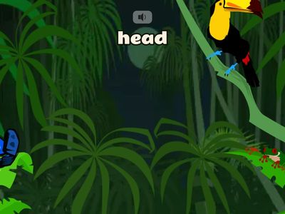 Super Safari 2 animals body