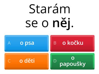 Zájmena po prepozici