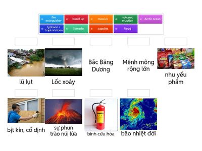 ILSW 8 - UNIT 4 - VOCABULARY