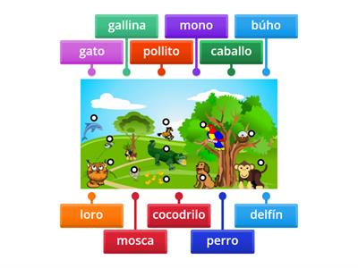 Los animales vocabulario