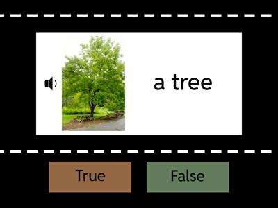 ESOL Intermediate a or an