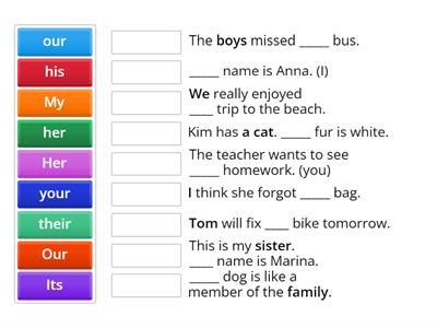 HW5 Possessive adjectives