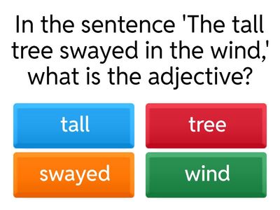 Adjective and Noun Identification Practice