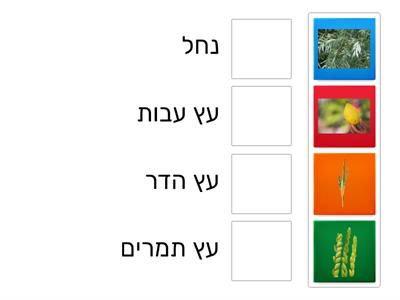 ארבעת המינים 