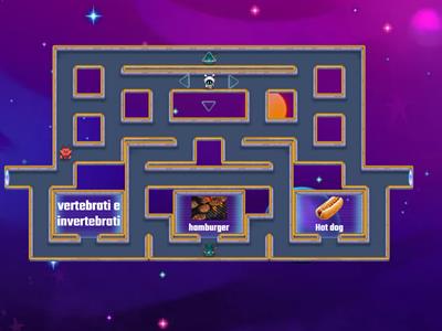 i cinque regni classe 4