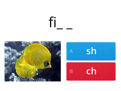 What is the missing digraph? Sh/Ch