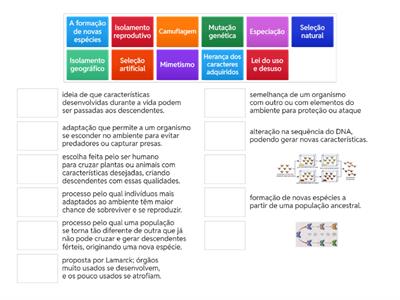 Trabalho de biologia, Rafaela Ody e Gabriel Leobelt