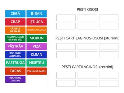 PESTII - Clasificare