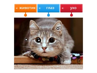 для початківців