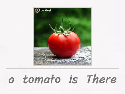 EC a1+ plus English Class a1+ plus Unit 2  There is/are + some/ any /a/an w zdaniach