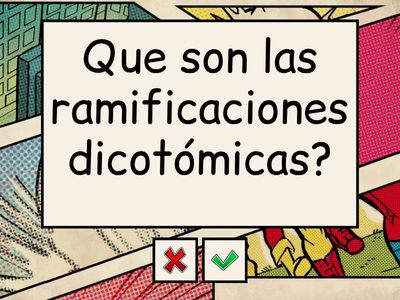 EMBRIOLOGIA 9 (Aparato respiratorio)