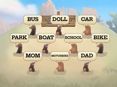 MEANS OF TRANSPORTATION