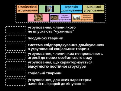 Соціальна поведінка тварин