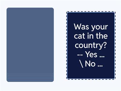 Was\were short answers