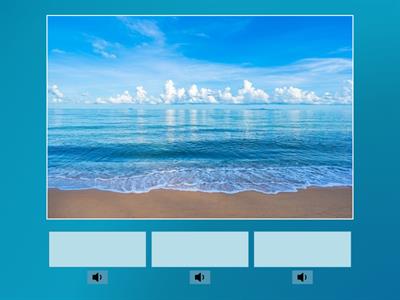 JUNIOR -SUMMER  4  -quiz/suoni