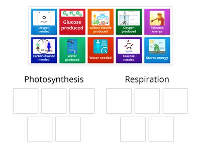 B8 & B9 Photosynthesis vs Respiration