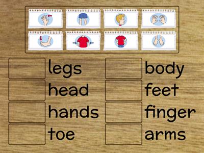 Body parts - preschool