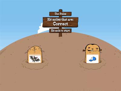 Ending sounds with /t/ 