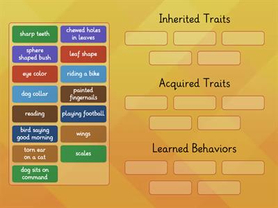 Inherited/Learned/Acquired Group Sort (5th Grade Science)