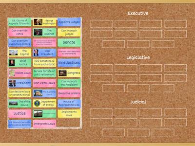 Separation of Powers (U.S. Branches of Government) 