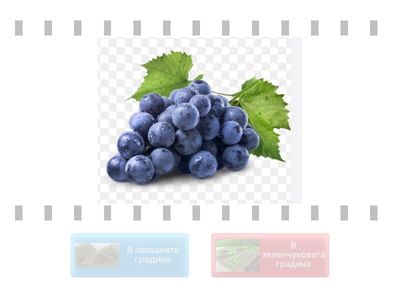  В зеленчуковата или в овощната градина