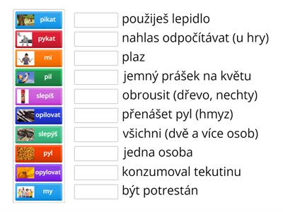 ČJ VS - chytáky 2.