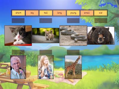 Прилагательные 