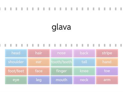 Dijelovi tijela - engleski jezik 2. razred