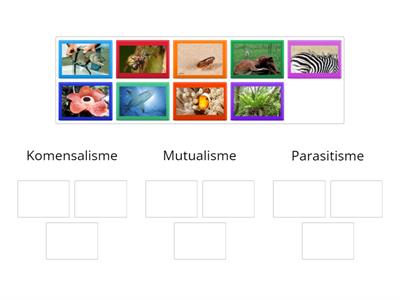 Interaksi Antara Hidupan