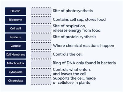 Cell structure functions match up (N5)