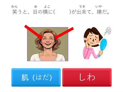 完マス語彙N3　6課