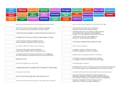 Homeostasis and glucose control