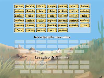 Adjectifs irréguliers: Masculin ou Féminin ?