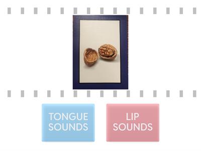  (sort tongue and lip sounds m,n,f,v,th,k,g)