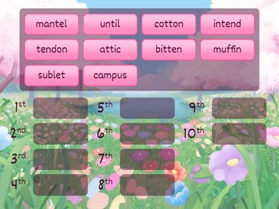 46. Rabbit Alphabetical Order