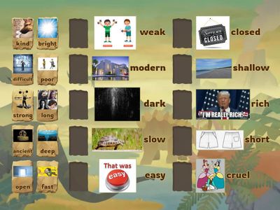 Synonyms and Antonyms