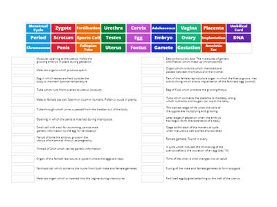 JC Science Human Reproduction