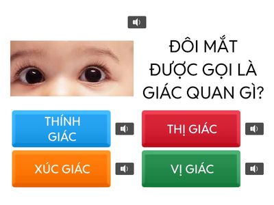 GAME RUNG CHUÔNG VÀNG LỚP CHỒI 2025