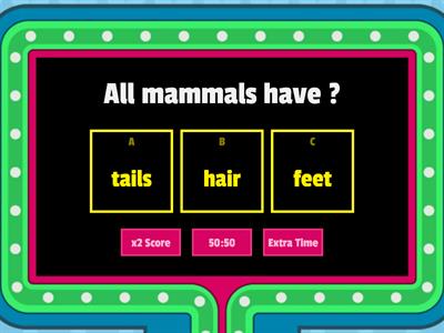 Mammals ,birds and reptile quiz