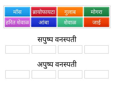 Group sort सपुष्प व अपुष्प वनस्पती 