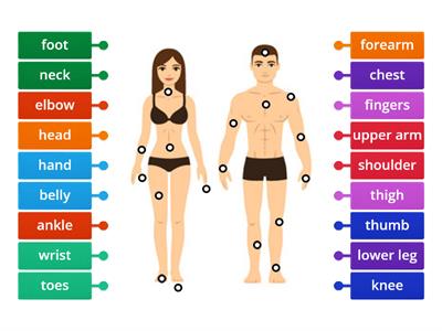 Parts of the body