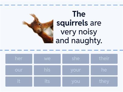 Gracie - posssessive pronouns 