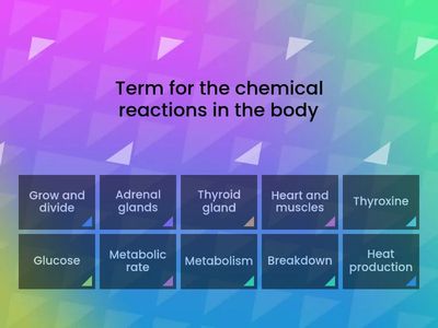 (Year 12 Human Biology) Metabolism
